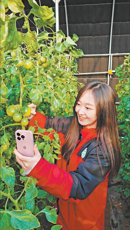 深山村裡“種”論文