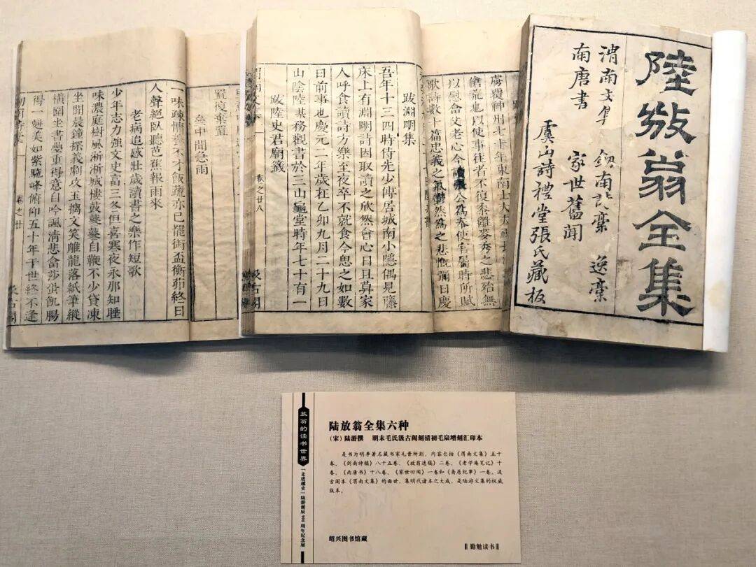 浙江紹興圖書館：讓“陸游”精神大放新光彩