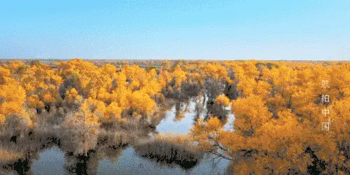 【紀錄片】精彩彙集！地理人必看經典！！值得收藏！！！