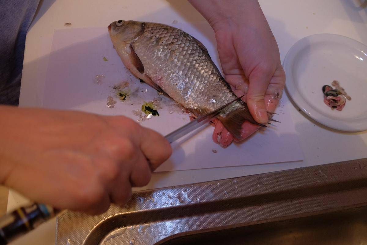 原創解鎖官方賽事濾鏡'順德煙花'，40分鐘做出美食博主熬夜6小時的3D賀卡