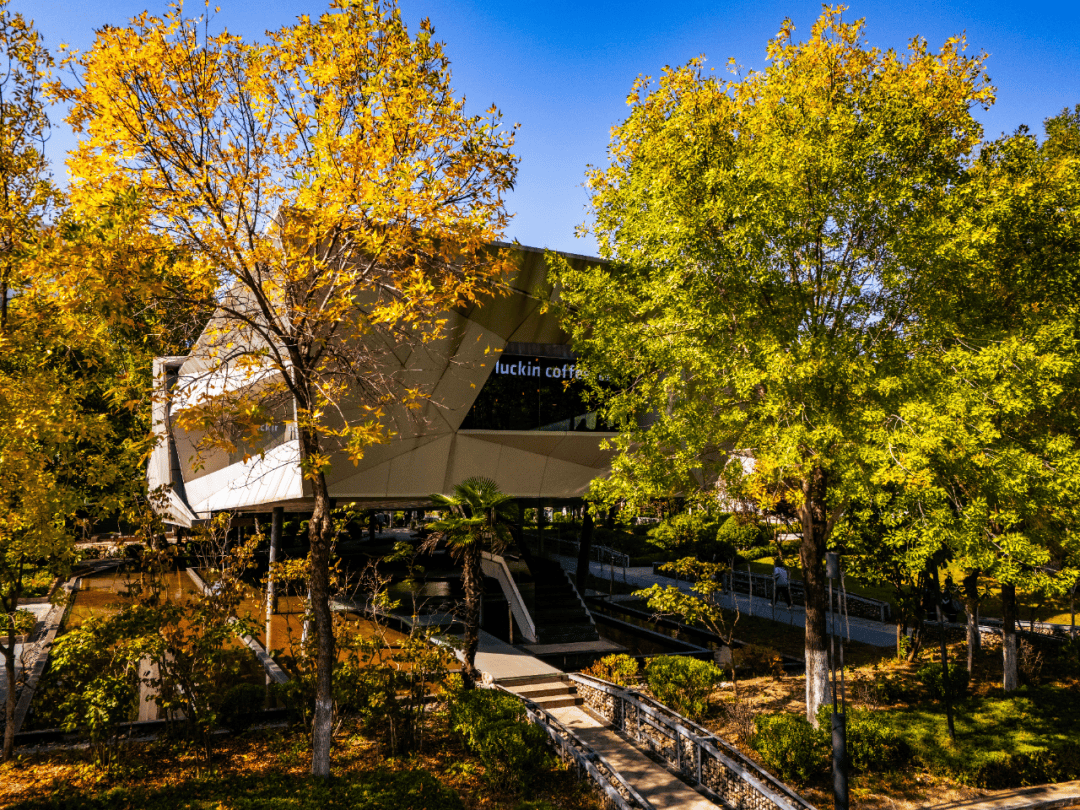 山東外國語職業技術大學招聘33名教師！