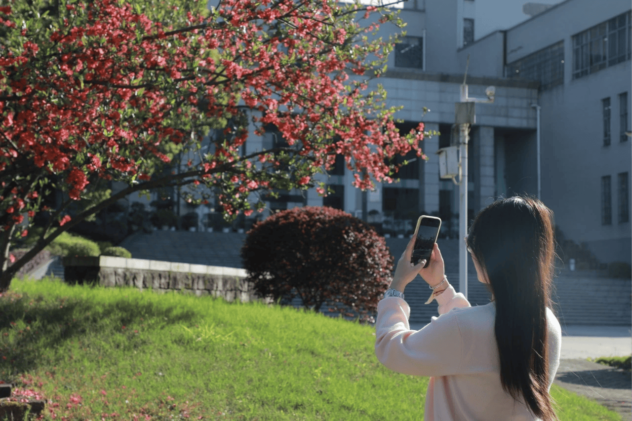 重慶城科大學校園的澎湃春天