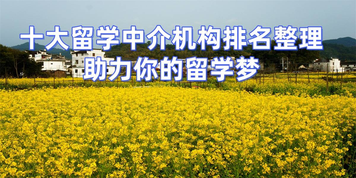 考研後留學，上海擅長考研轉留學的留學中介top8推薦