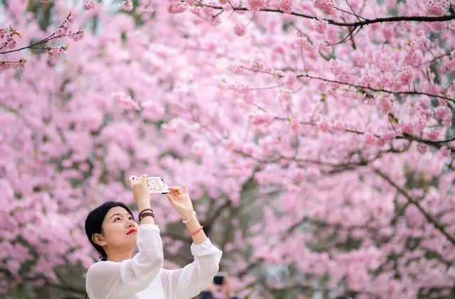 中國旅行社協會提醒：警惕“私人伴遊”等變相旅遊服務